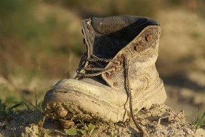 CCE Stomps the competition?