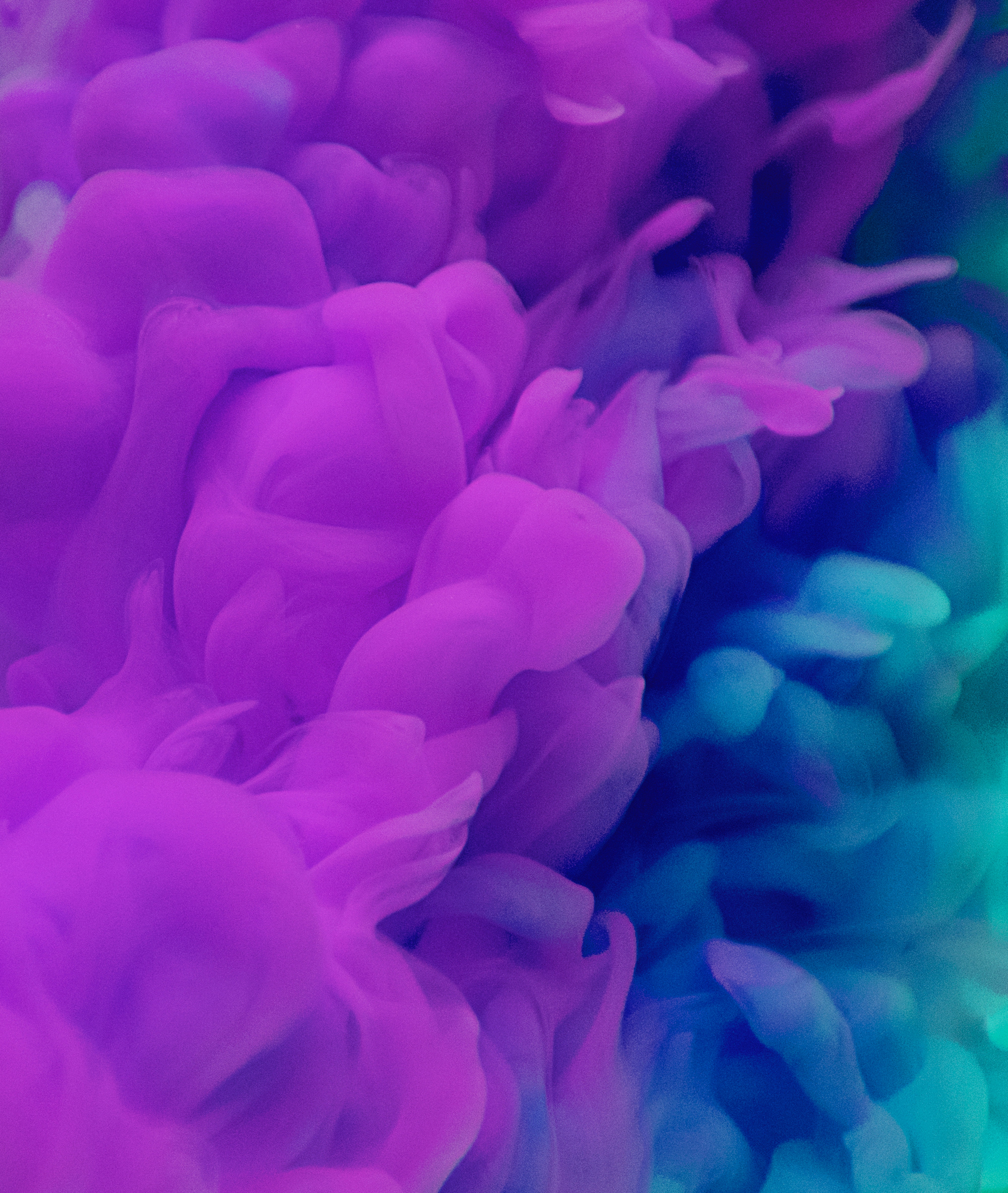 art-artistic-background-1851447 - The Classical Difference