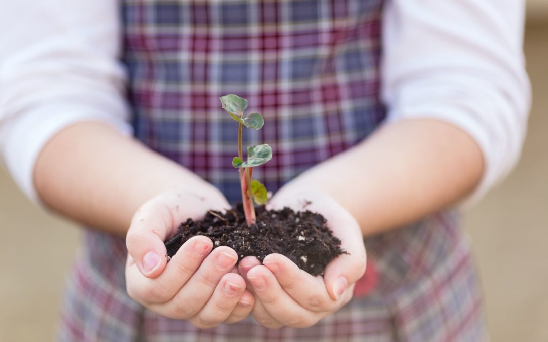 News Alert: Good Soil Report Released Today