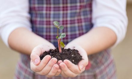 Good Soil: The Life Outcome Survey of ACCS Alumni