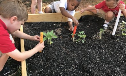 It’s Garden Season