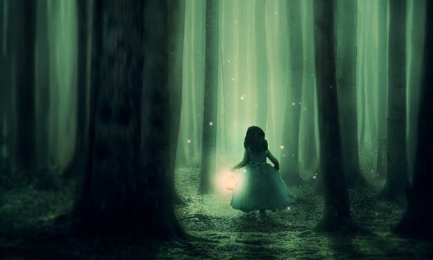 A Princess Without a King